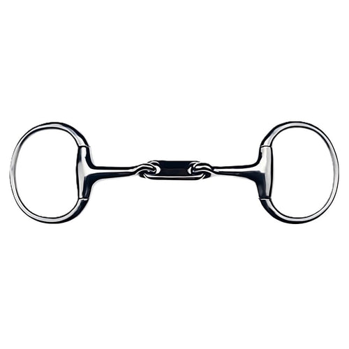dr bristol