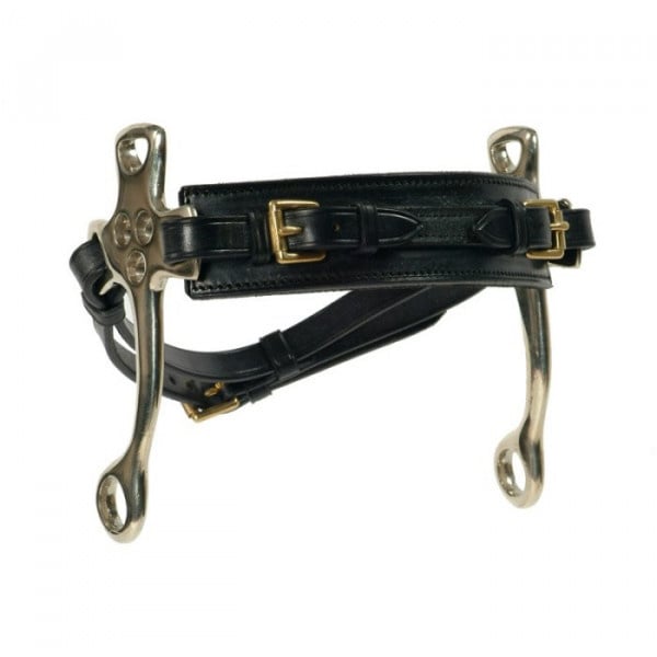 english-hackamore